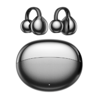 Open ear earbuds (2)
